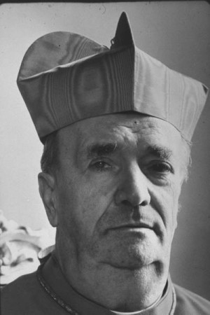 Cardinal Alfredo Ottaviani